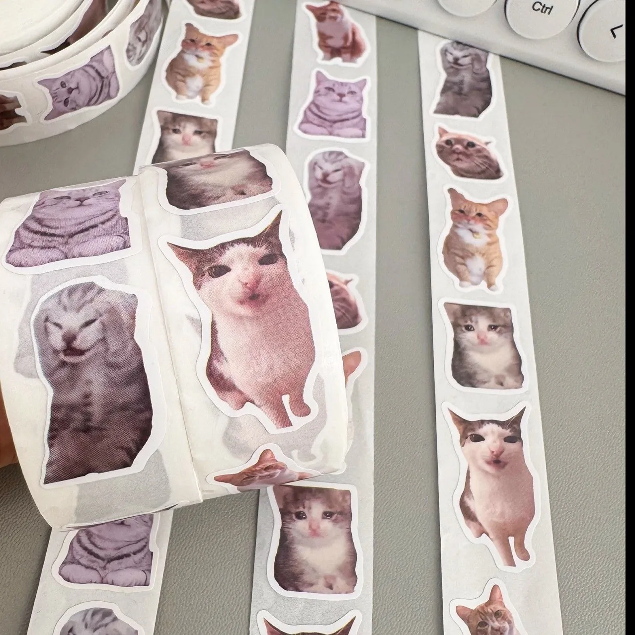 500PCS/Roll Cat Meme Stickers 7 Styles Funny Cat Stickers Cute Animal Decals Vinyl Waterproof Sticker for Scrapbooking DIY