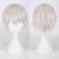 Perruques synthétiques de Cosplay Anime pour hommes et femmes, cheveux courts et lisses, résistants à la chaleur, multicolores, rouge, blanc, rose, gris, marron 3