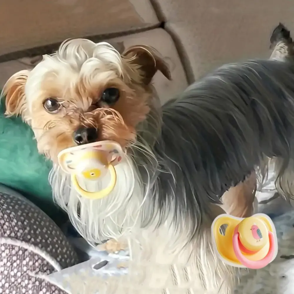 1 Pc Practical Pet Silicone Pacifier Bite Resistant Cleaning Teeth Puppy Toys Chewing Pacifier Dogs Toys Relieve Boredom