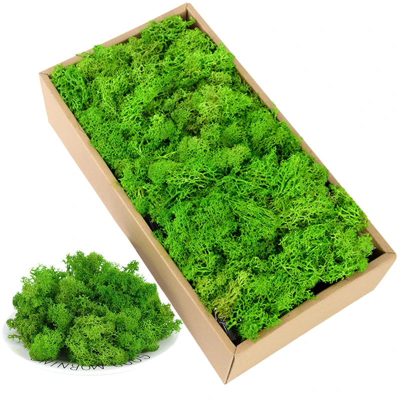 40g Simulation Künstliche Moos Grün Ewiges Leben Moos Gras Gefälschte Pflanze Für Home Wand Dekor Garten Micro Landschaft Material geschenk