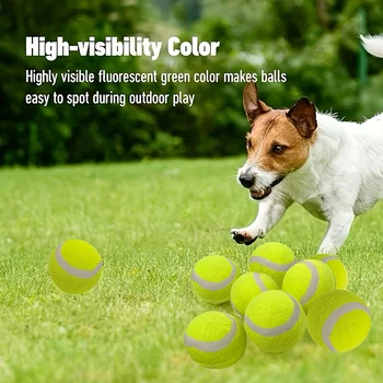 12 packs of small dog tennis balls, pet toys for playing and training 2