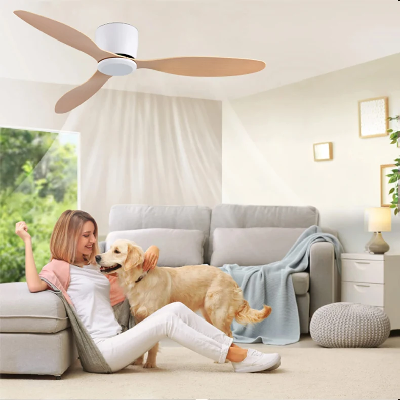 Description Picture 4 of itemModern Ceiling Fan Low Floor DC Motor Remote Control Large Household Fan Without Light for Living Room Bedroom Electric Fan