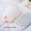 Touch Sensor RGB LED Rabbit Night Light 16 Colors USB Rechargeable Silicone Bunny Lamp for Children Baby Toy Festival Gift 6