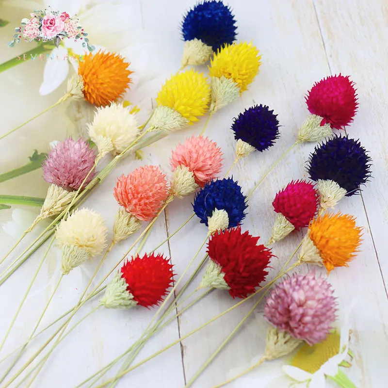 

16pcs Colorful Natural Dried Flowers Bouquet Strawberries Grass DIY Handicraft Artificial Flower Home Decor Photo Props