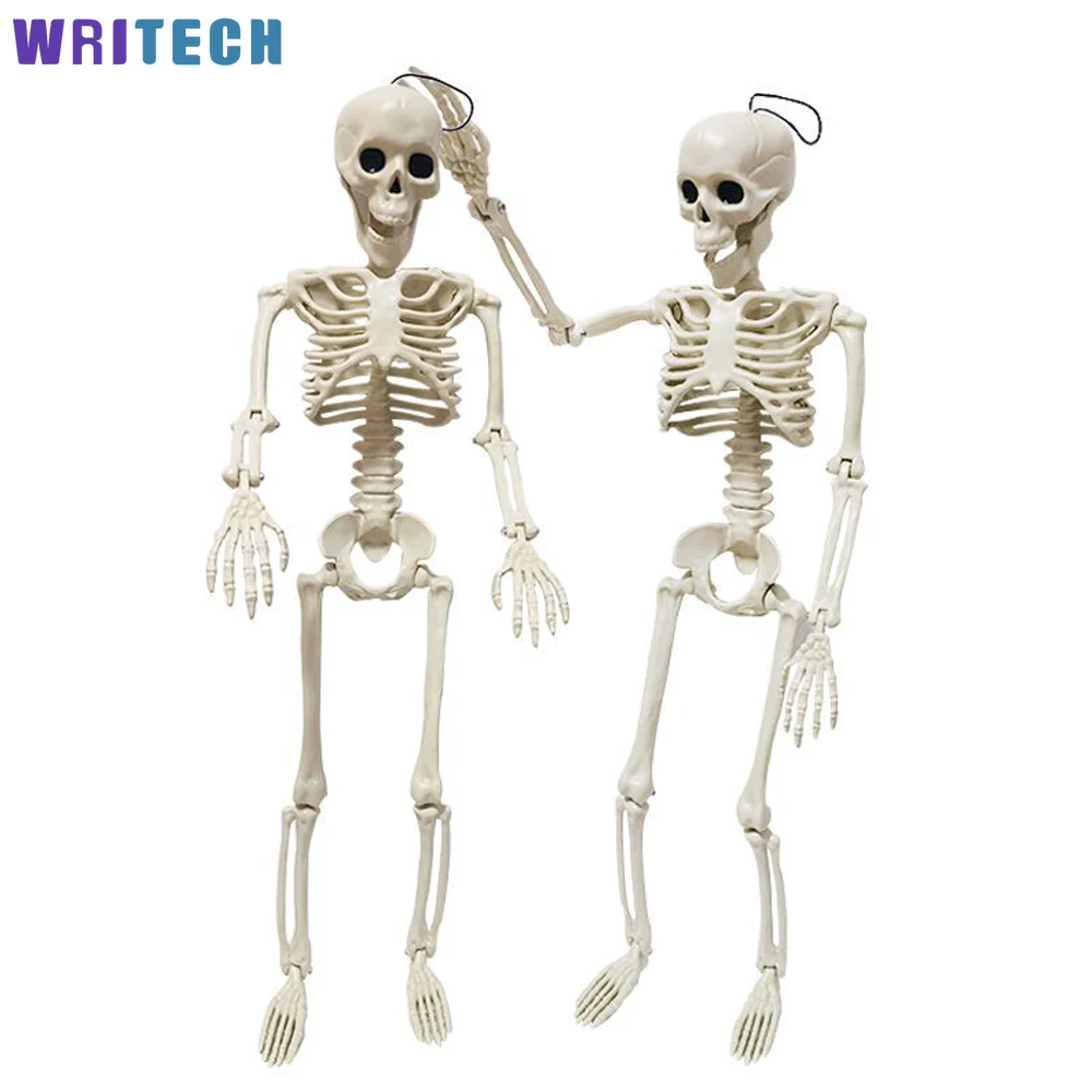 

40CM Flexible Skeleton Model Learning Aid Anatomy Art Sketch Anatomical Anatomy Bone Model Halloween Decoration