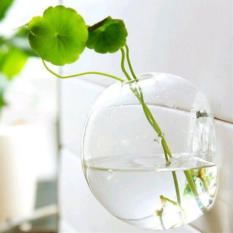 Vaso Di Vetro Rotondo Da Parete Diametro 8 Cm | Terrario Sospeso Per Fiori | Decorazione Casa