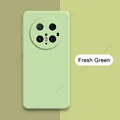 Fresh Green