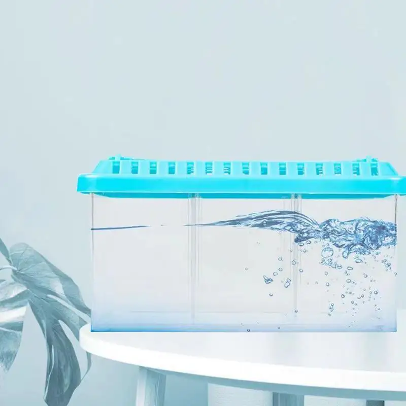 Betta Aquarium Transparent Fish tank Removable Dividers Small Fish Bowl Multi Compartment Layout decorative Aquarium