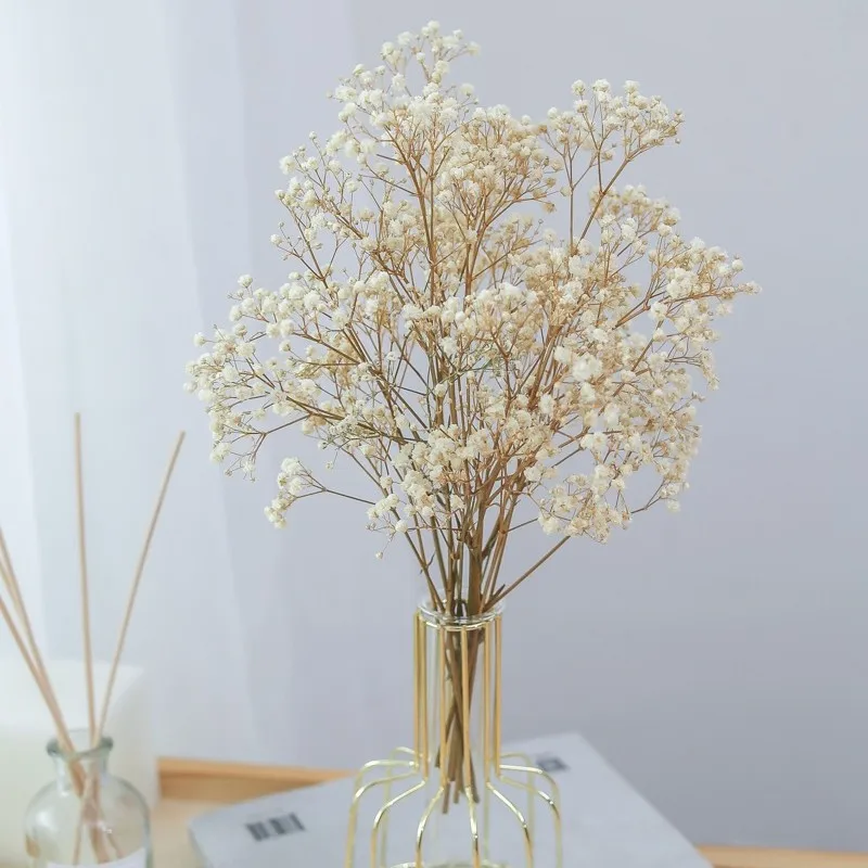 

Dried Flowers Babys Breath Bouquet Ivory White Flowers Natural Gypsophila Baby's Breath Wedding Decoration Christmas Home