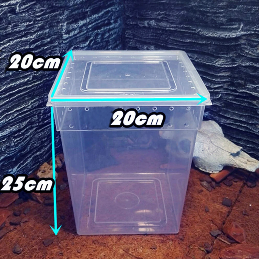 Reptile Feeding Box Tarantula Enclosure Turtle Tank Aquarium Lizard Container Habitat Cage For Frog Spider Gecko Tarantulas aquarium tank vivarium box