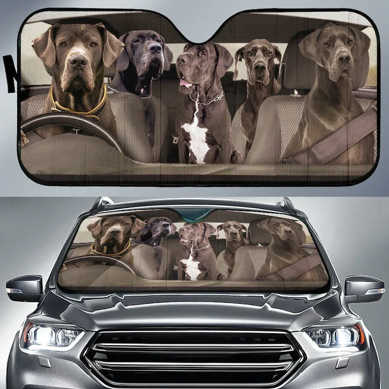 

Great Dane Dogs 4 Auto Sun Shade, Dog Design, Car Sun Shade, Car Decor, Custom Print, Car Accessories, Guardian Dogs, Apollo of