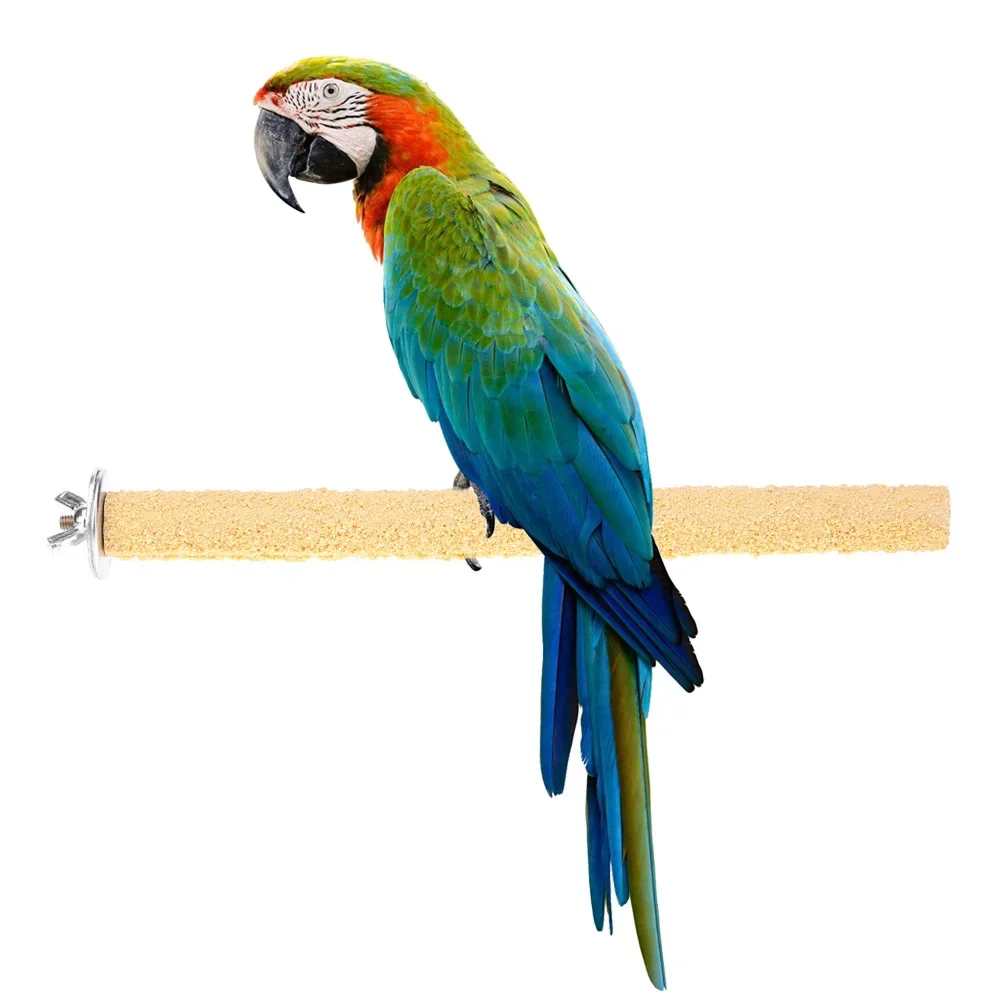 Colorful Parrot Standing Stick Non-toxic Bird Claw Stick Eco-friendly Creative Reusable Durable Funny Portable Cage Decoration 5
