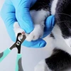 Pet Dog and Cat Nail Clippers Nail Sharpener Nail Pliers Manicure Scissors Dogs Toe Care Trimmer Nails Pets Grooming Supplies 3
