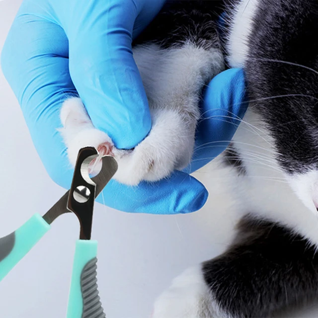 Pet Dog and Cat Nail Clippers Nail Sharpener Nail Pliers Manicure Scissors Dogs Toe Care Trimmer Nails Pets Grooming Supplies 3