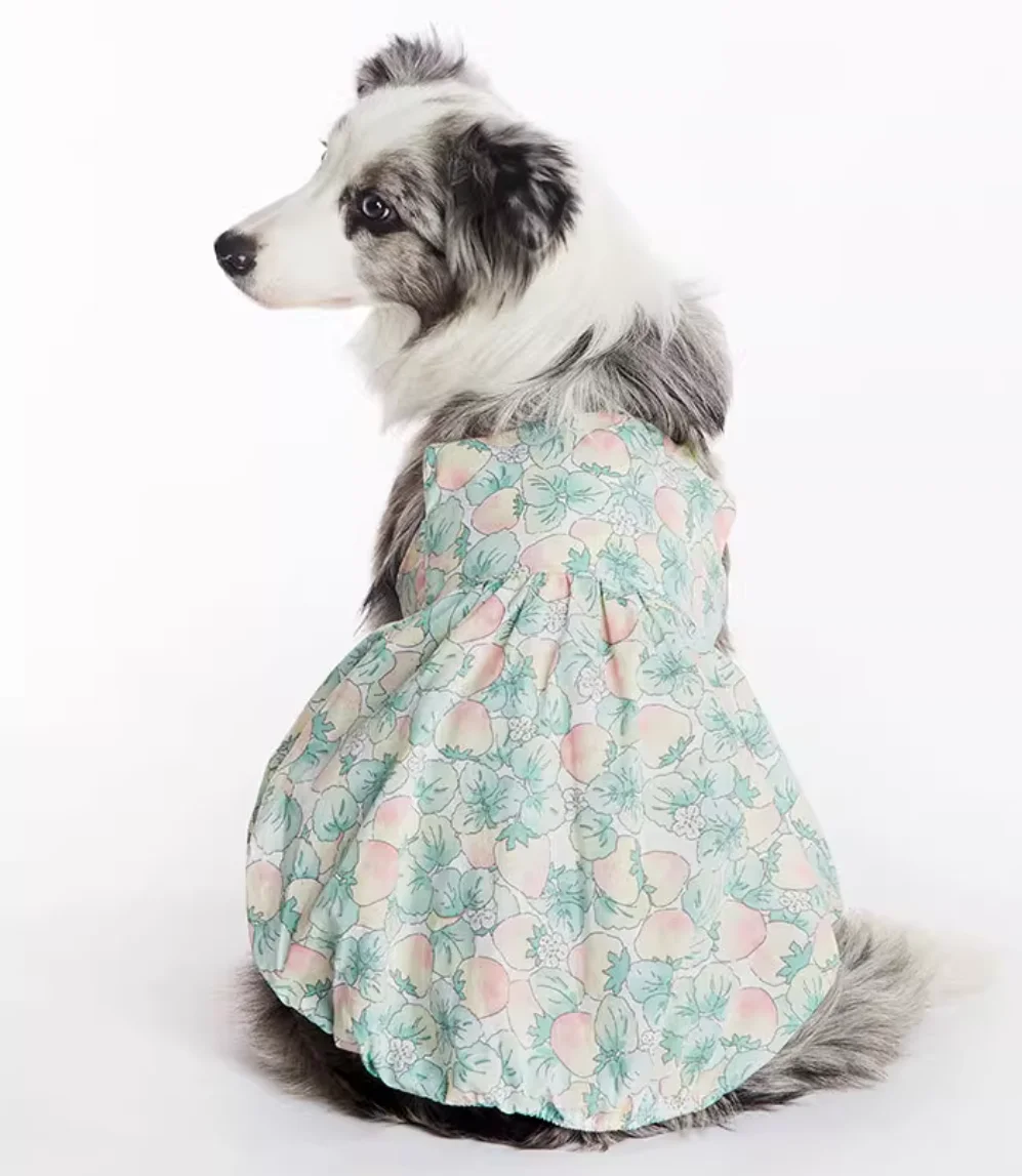 Cute Cat and Dog Clothes, Summer Flower Skirt, Chest Back, Big Dog, Bull Terrier, Grey Dog Clothes