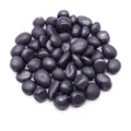 Shungite