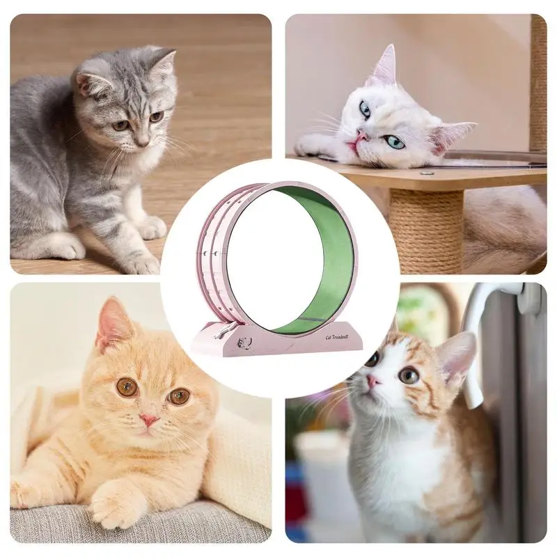 Running Wheel For Cats Quiet Workout Equipment For Kitten Large Cat Wheel Exerciser Indoors Safety Kitten Treadmill