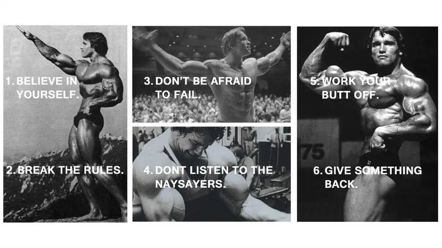 

Rules of success arnold schwarzenegger Art print Silk poster Home Wall Decor