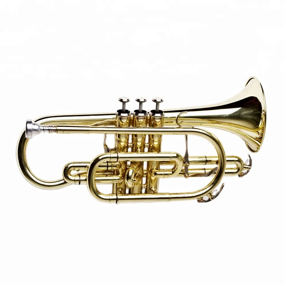Bb Key Gold Cornet For Sale JYCT407