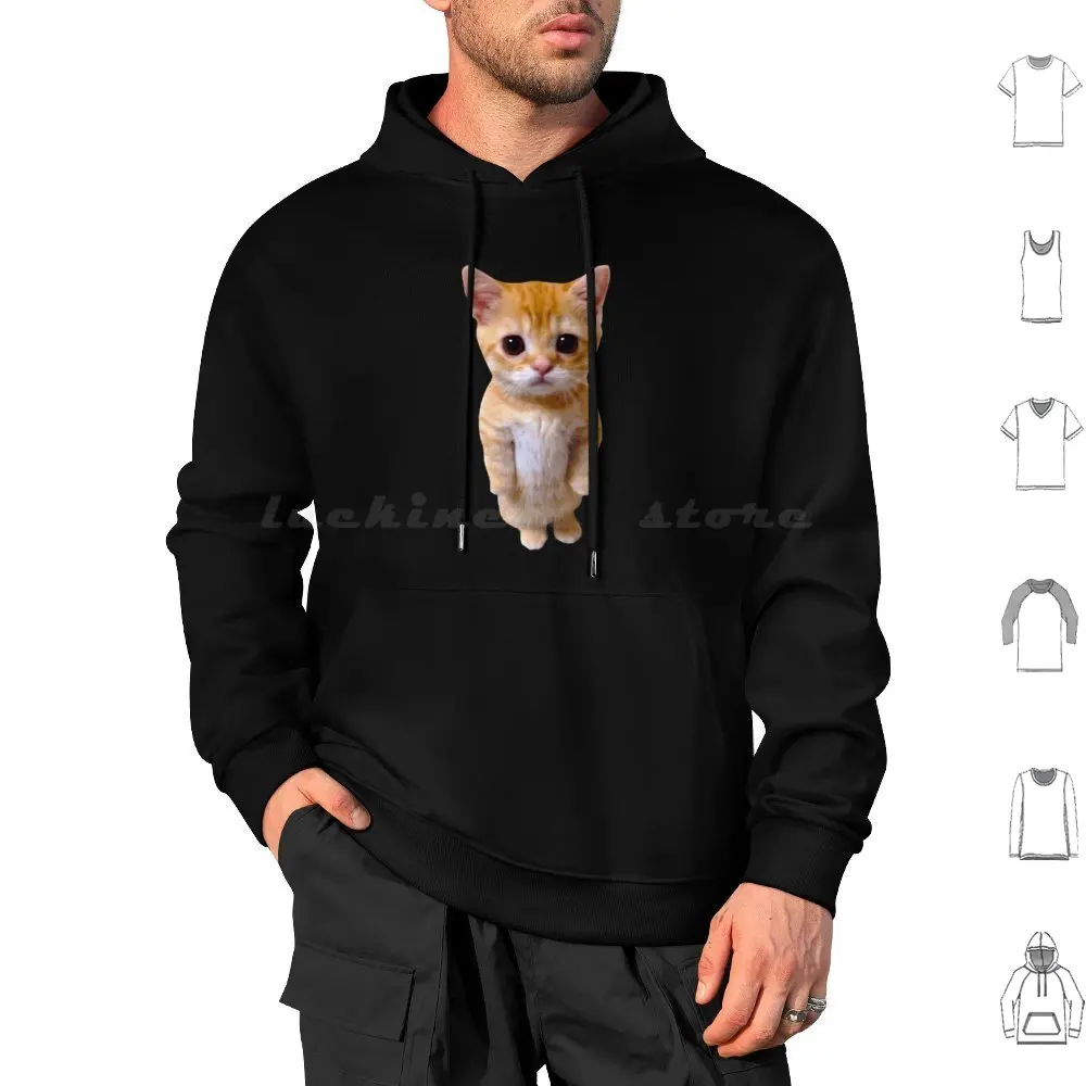 El Gato Meme Sad Cring Cat Munchkin Kitty Meme Felpa Con Cappuccio Alla Moda In Cotone Manica Lunga Cat Meme Kitty Cat Meme Funny Cute Kawaii