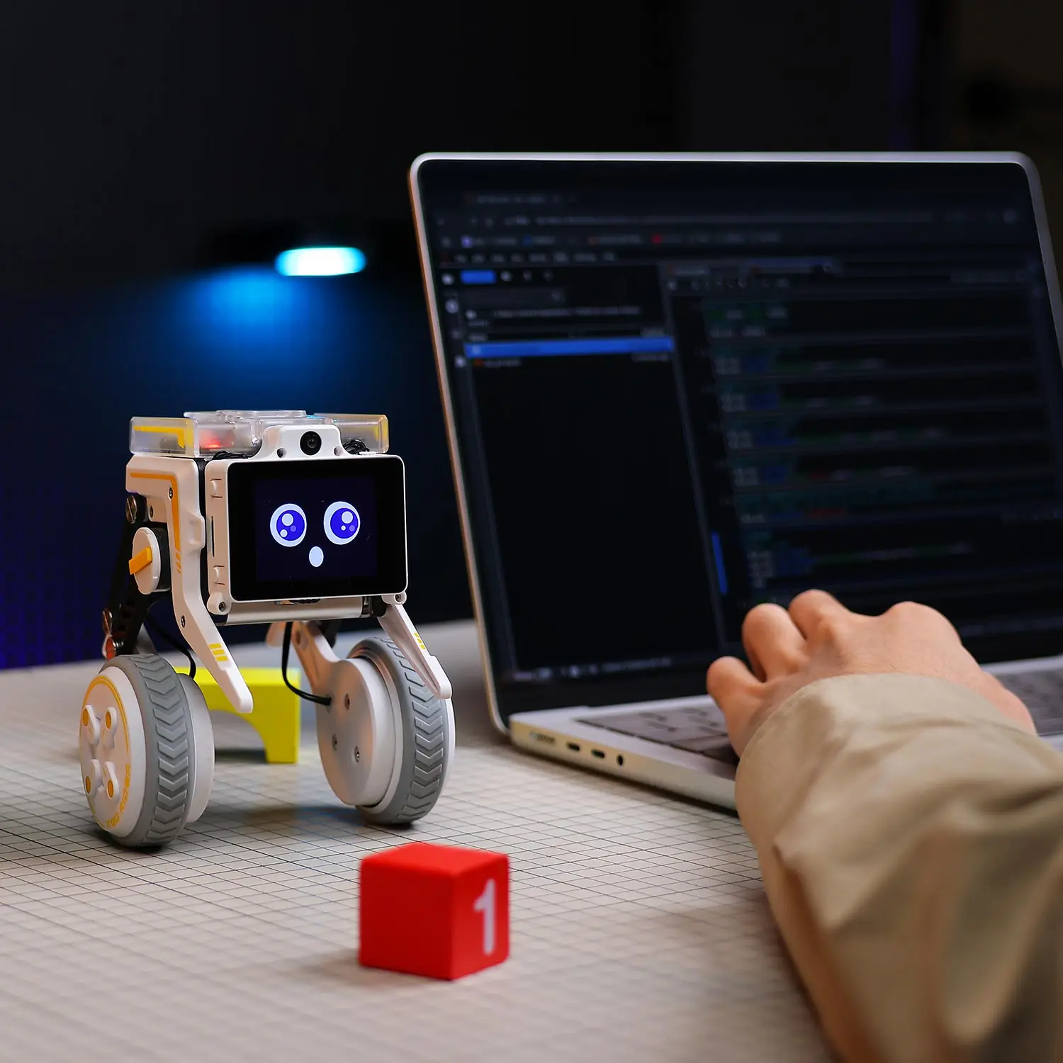 Rider-Pi AI Visual Robot Two Wheel Legged Smart Car Toys with IMU Module Python Programming Support ChatGPT Voice Interaction
