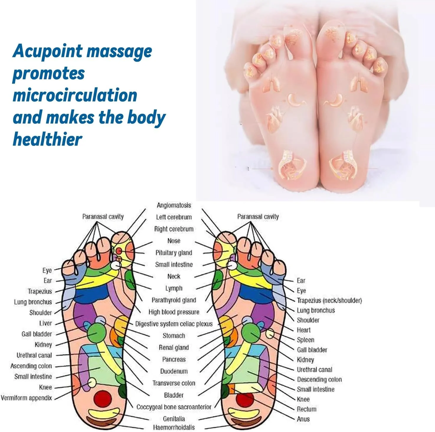 Medical Magnetic Therapy Sports Insoles Massage Foot Weight Loss Slimming Acupressure Insole Anti-fatigue Health Care Shoe Pads