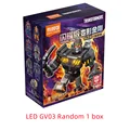 LedGV03 Random 1box