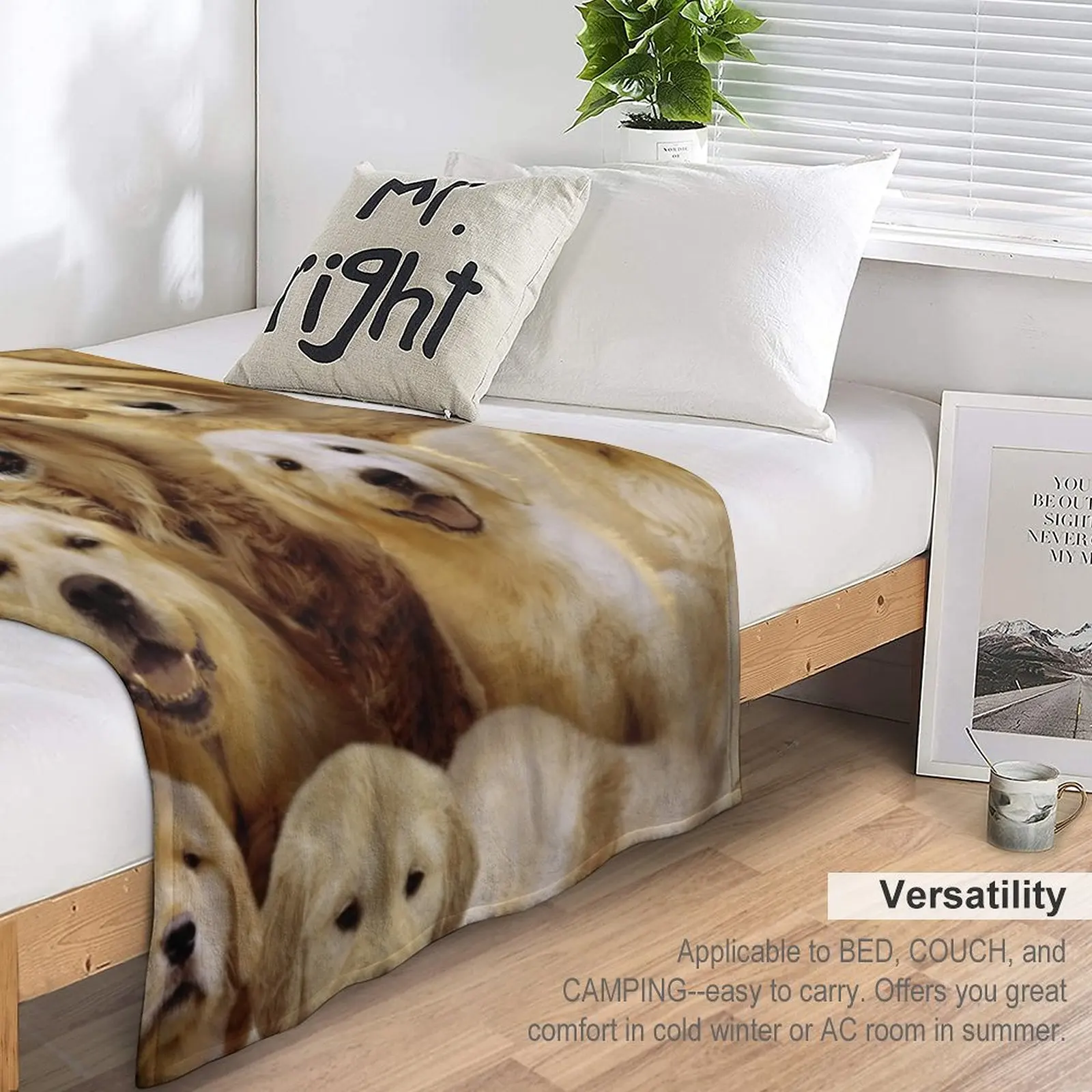 ��� ��Ʈ���� ������ ���, ���� �̺�, ��ũ�� ���