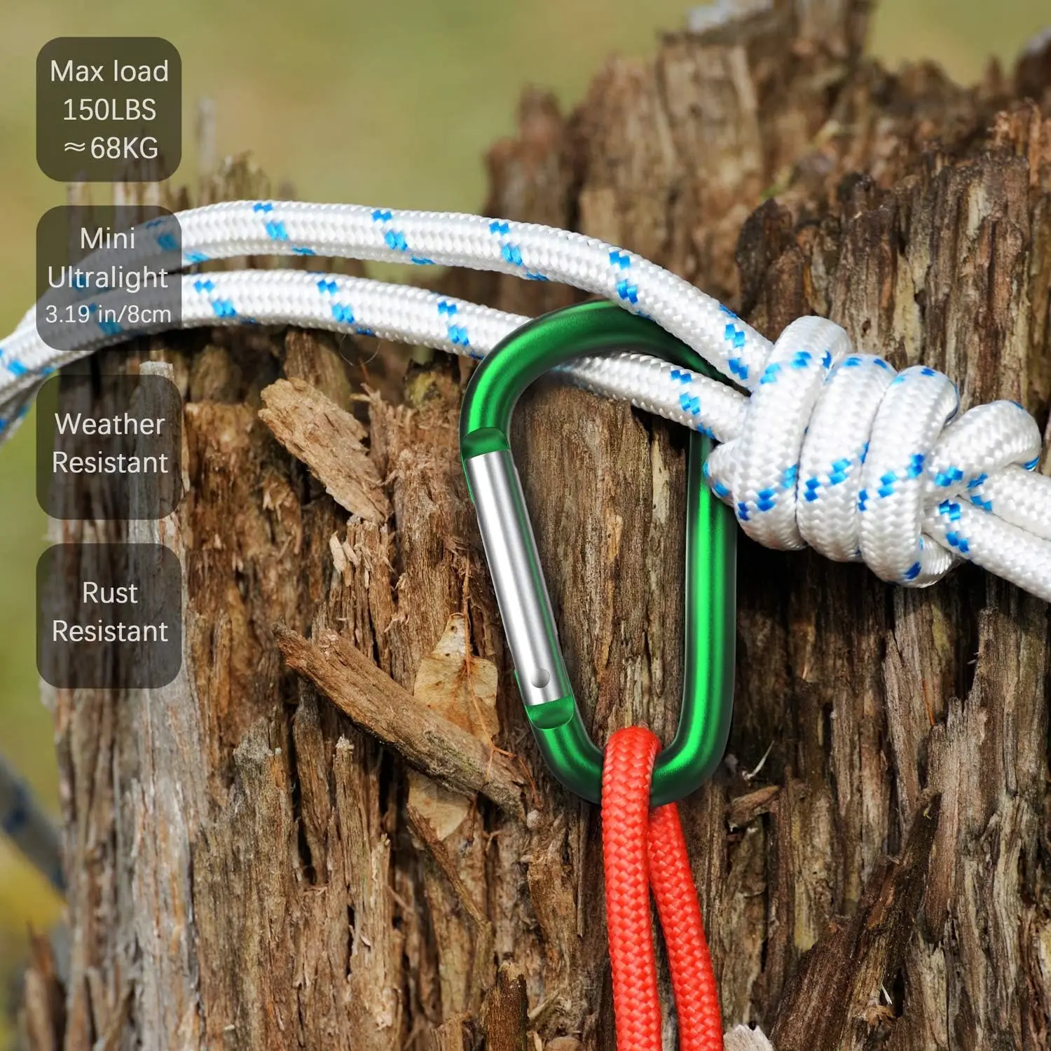 Description Picture 3 of itemColorful Carabiner Keychain Alluminum D-ring Buckle Spring Carabiner Snap Hook Clip Keychains Outdoor Camping Daily Use Tool