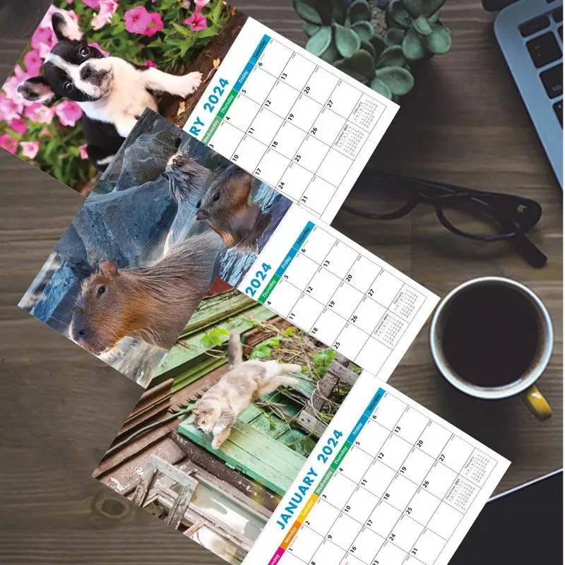 DogCatcapybaraWallCalendar2024FunnyAnimalMemoWallCalendar