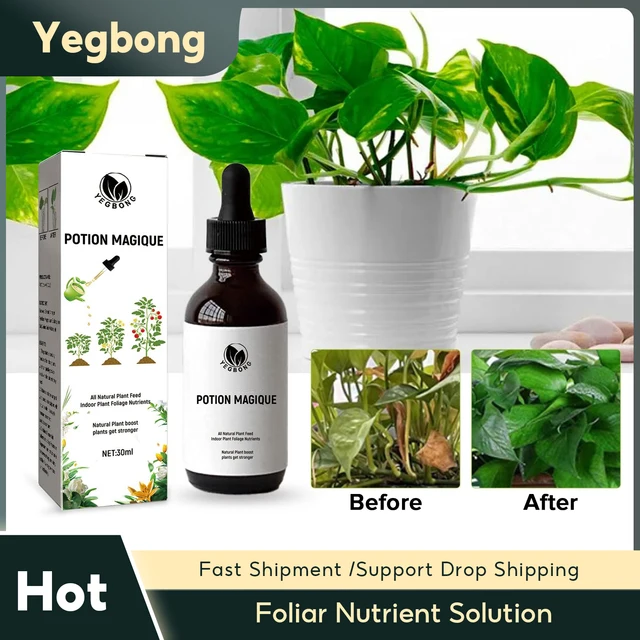 Növények Tápanyagoldat Kerti Lombos Gyors Virág-Elősegítő Növényi Levelek Cserepes Zöld Koncentrált Műtrágya