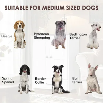 Pet Feeding Station Food Storage Cabinet with 3pcs Hooks Hidden Detachable Stainless Steels Dog Bowls for Medium Sized Dogs 2