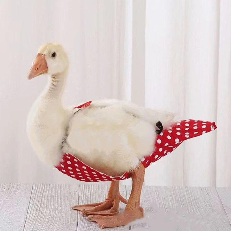 Kodak Duck Diaper Bellyband Adjustable Bird Flight Clothes Pooper Diapers Flight Suits Vests Pet Supplies