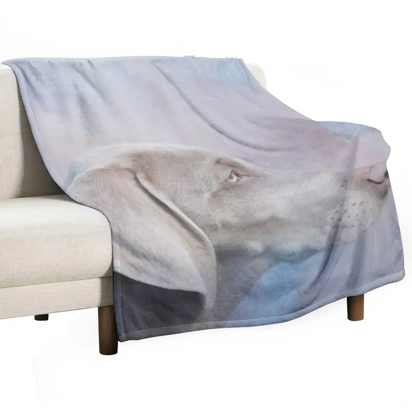

Cute Weimaraner Dog Throw Blanket Hairys Decoratives Blankets