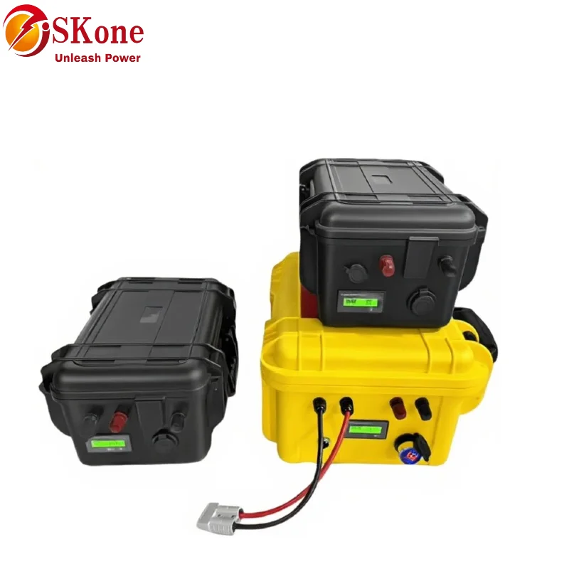 SKone12V 24V 100Ah 120AH 150AH 200AH 300Ah 400Ah Lifepo4 lithium iron phosphate