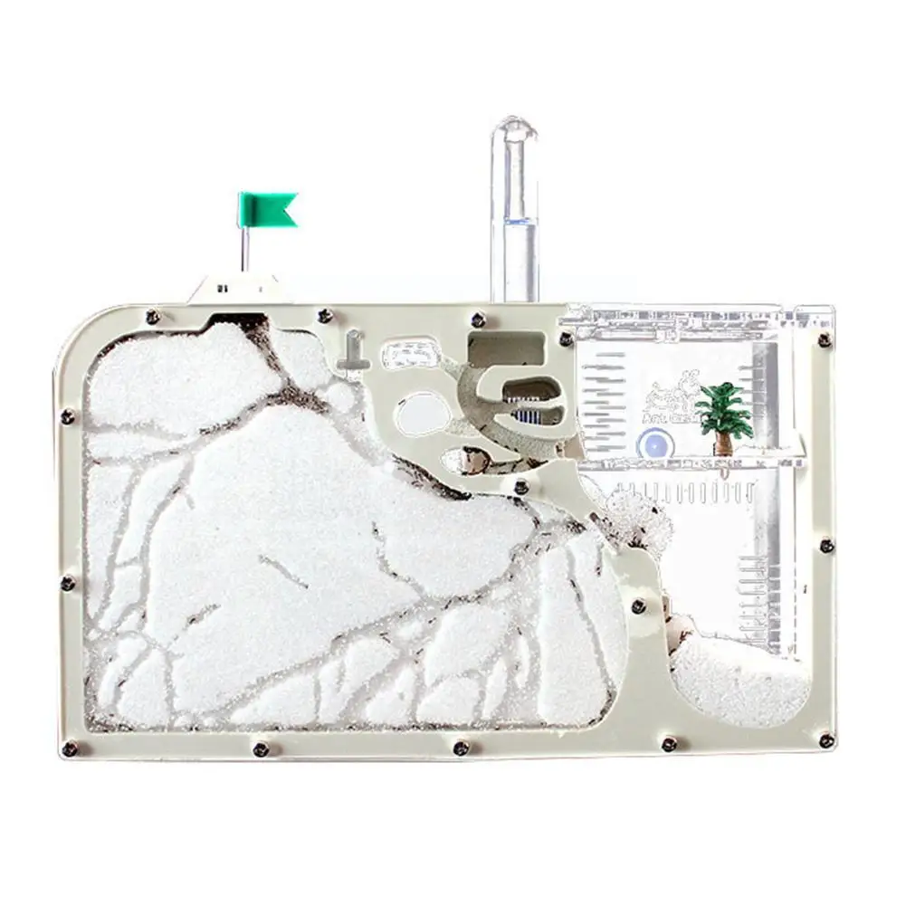 

Ant Farm Castle Ant Nest Farm Ant Colony Observation Kit, Ant Habitat Science Learning Kit For Students Kids Educational To W5Q6