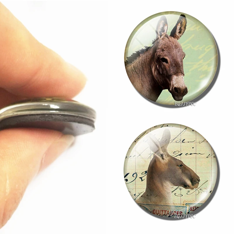 

1p Donkey 30 MM Fridge Magnet Donkey Animal Lover Gift Glass Cabochon Magnetic Refrigerator Stickers Note Holder Home Decoration