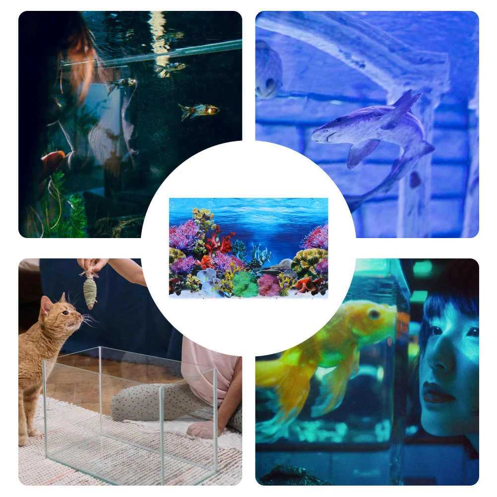 Fish Tank Background Paper Fish Tank Backdrop