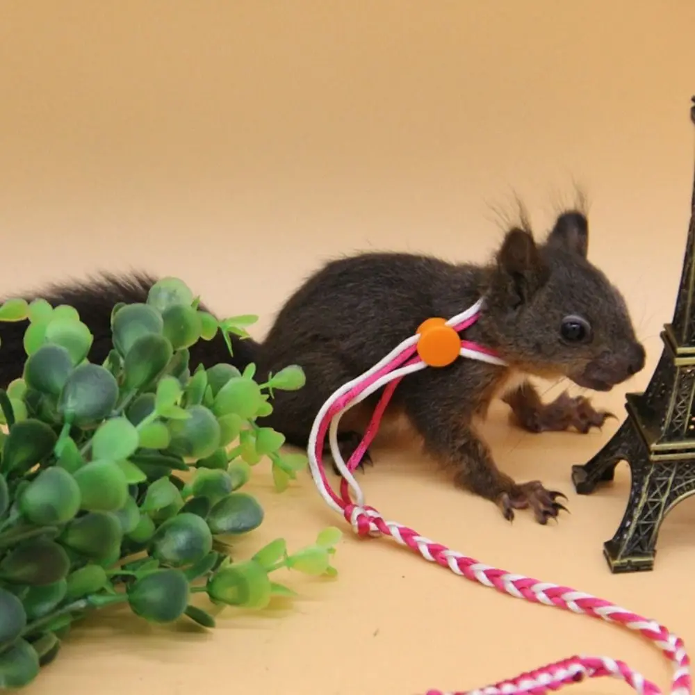Adjustable Hamster Leash and Harness 4