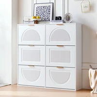 Modern Shoe Cabinet with 6 flap compartments
