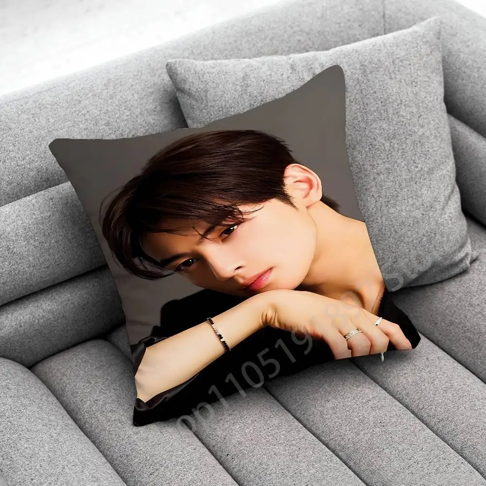 C-Cha Eun woo EunWoo Throw Pillow Case For 45x45cm 40x40cm 55x55cm 50x50cm 30x30cm Square Car Pillowcase Shell