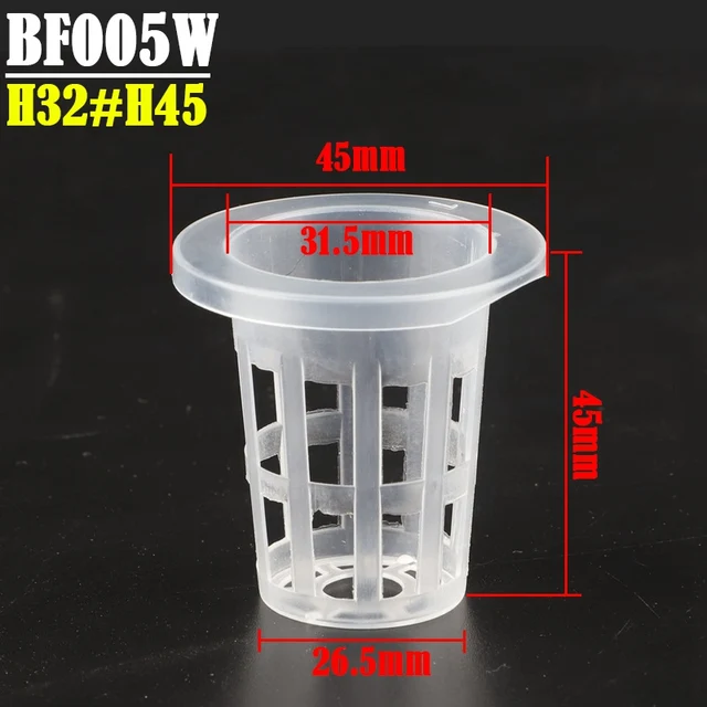 BF005W