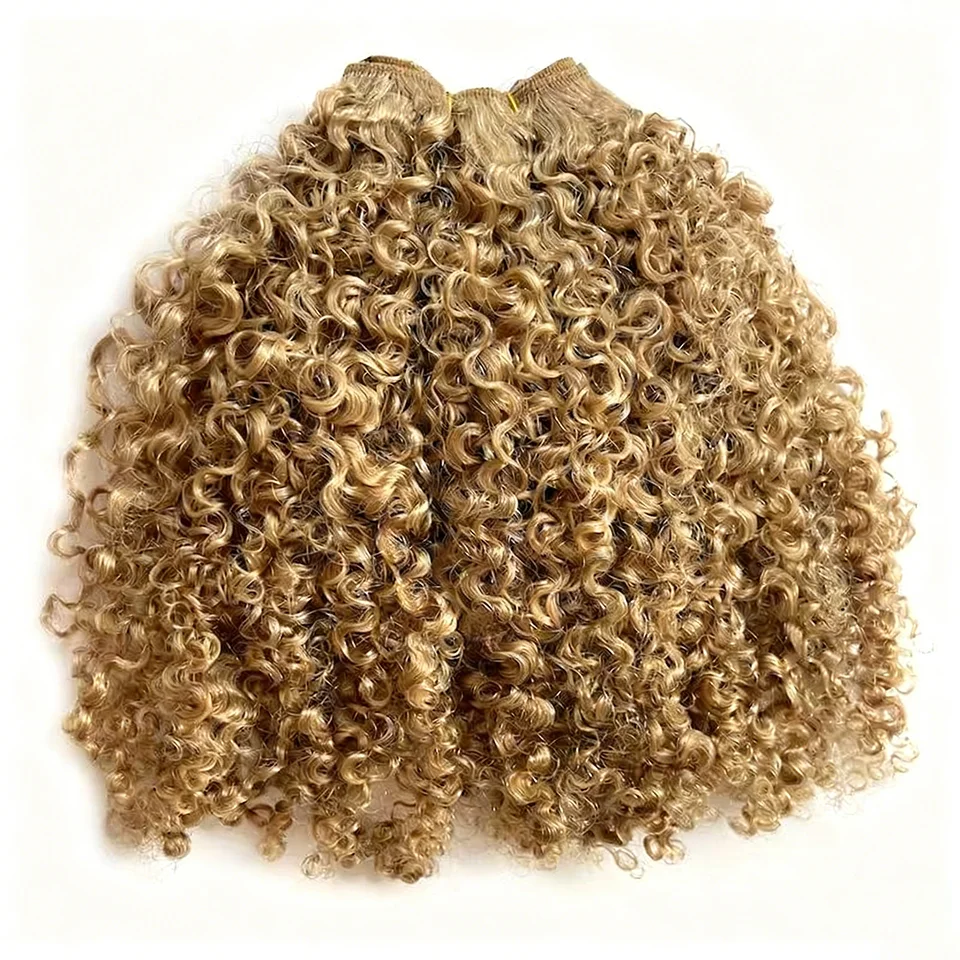Kinky Curly European Russian Blonde #27 Afro Kinky Curly Deep Curly Weft Virgin Hair Weave Raw Human Hair Bundles Extension