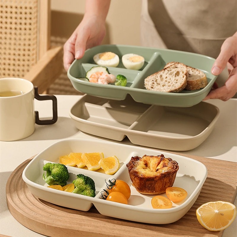 Porcelain Divided Dinner Plates