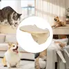 Cat Window Perch Space Saving Window Cat Seat Kitten Climbing Wood Window Shelf with 3 Suction Cups Cats Play Climb Seat for 4