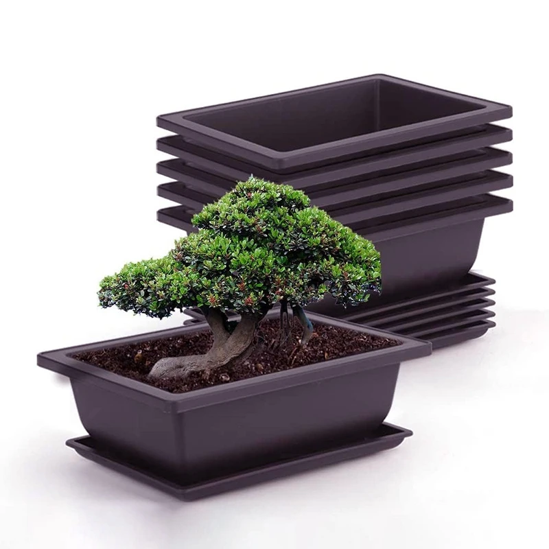 Bonsai Pots Bonsai Accessories Rectangle Plant Pots for Plants Outdoor Garden Pot Flowerpots for Succulents Tray Garden Supplies