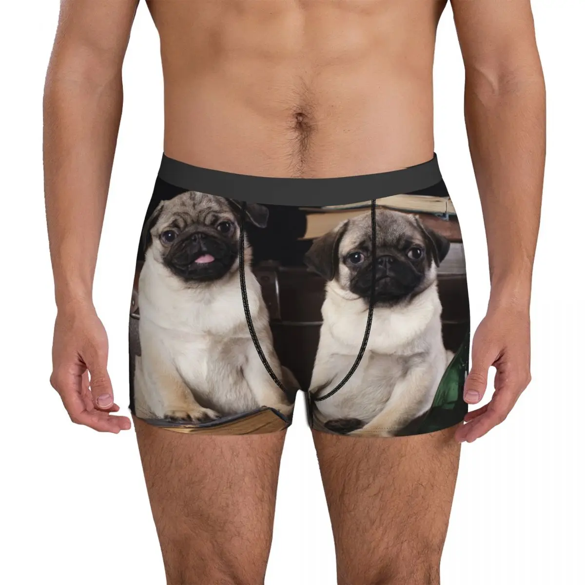 Men Pug Animals Cute Dog Lover Underwear Novelty Boxer Shorts Panties Male Breathable Underpants Plus Size