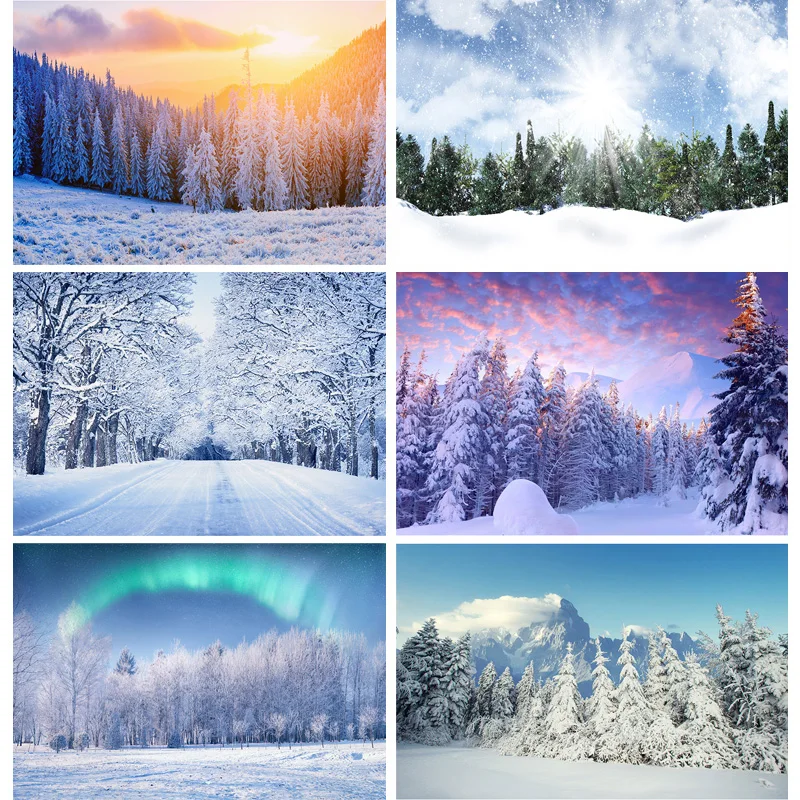 

Winter Natural Scenery Photography Background Forest Snow Landscape Travel Photo Backdrops Studio Props 211121 DJXJ-03