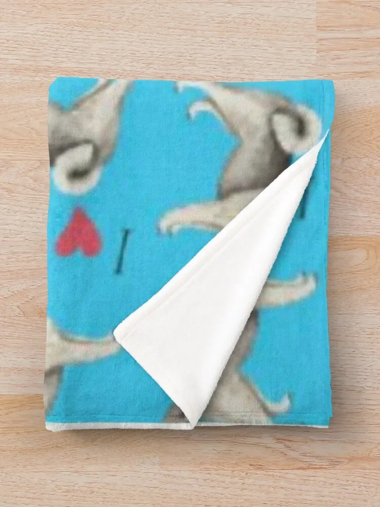 NORWEGIAN ELKHOUND ������ ���, ����ִ� ����, ũ�������� ���, ���� ���� ���