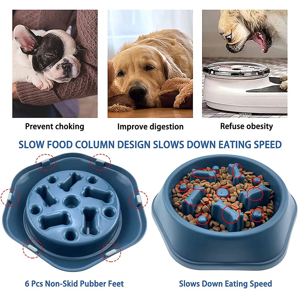 Raised Feeders And Bloat Online Outlet clc.cet.edu